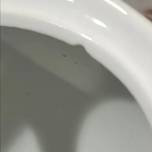 Starbucks ceramic coffee/tea pot 2015 White Ceramic Pitcher - Picture 7 of 10